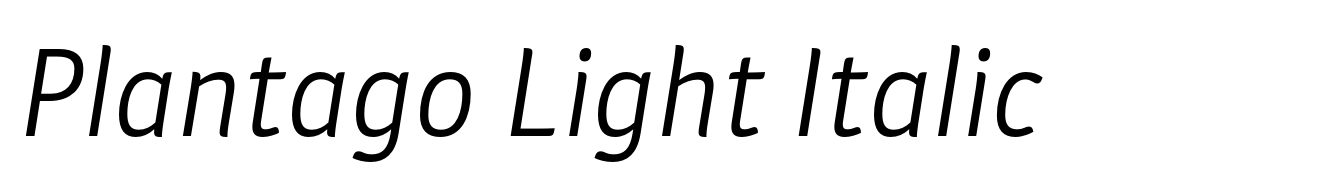 Plantago Light Italic
